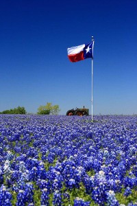 texas flag